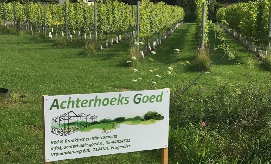 Achterhoeks Goed, Minicamping In Vragender Exterior foto